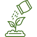 Fertilizing, Aeration, and Seeding