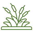 Seasonal Flowerbed Cleanup